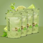Vishnu Delight Roasted Organic Makhana, Mint Masti Flavor, 4 Packs of 50g Each
